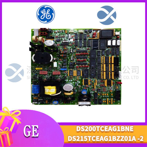 GE DS215TCEAG1BZZ01A
