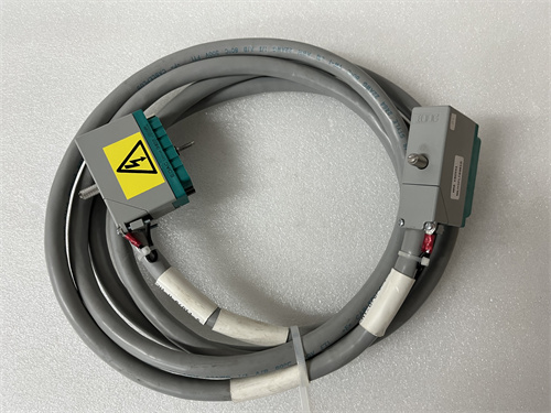 TRICONEX 4000093-110N