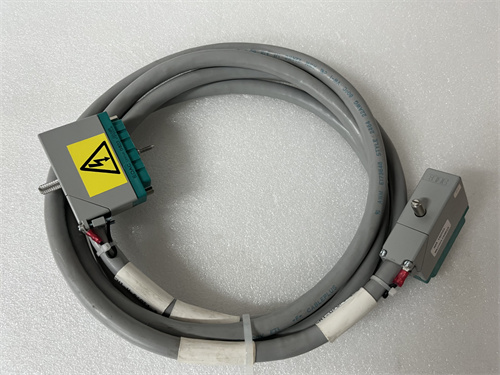 TRICONEX 4000093-110N